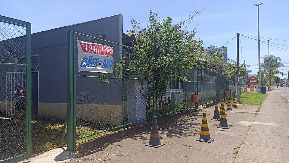 Image de capaAudiência de custódia após prisão em Taguatinga: como funciona